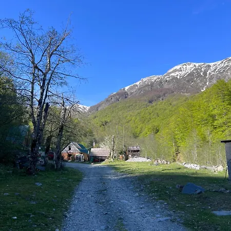 营地 Guide Pojana Tropoje