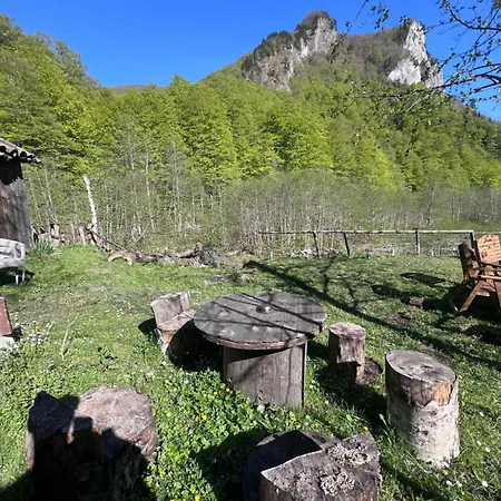Guide Pojana Τροπόγια